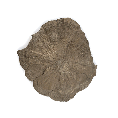 Pyrite Suns, Indiana, USA, 175gr, 10.5cm Across