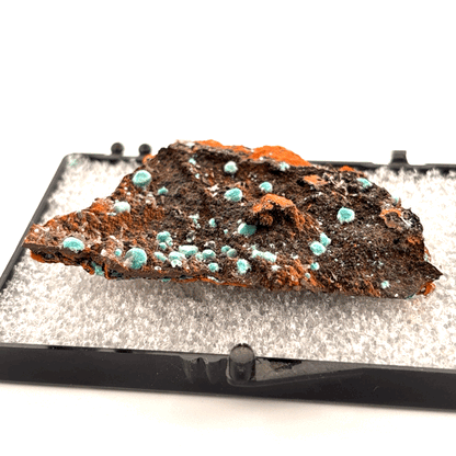 Rosasite Specimen in Case from Zacatecas, Mexico
