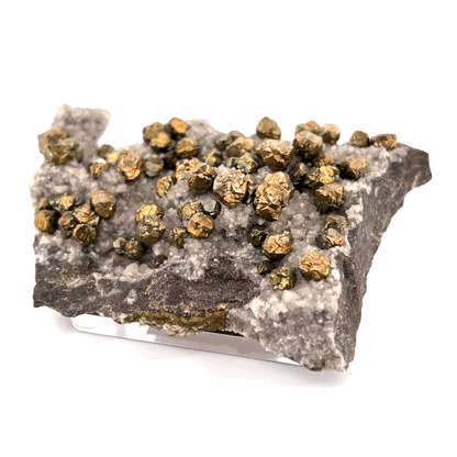 Pyrite & Calcite Specimen - Morocco - 5x8x1cm