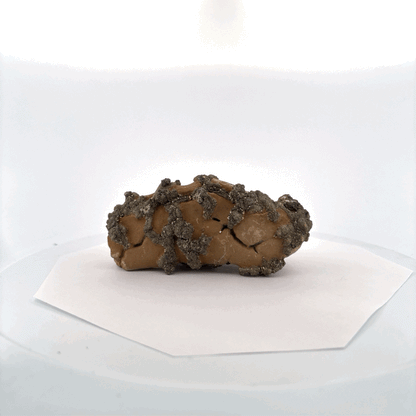 Pyrite on Limonite Clay, 10x5x4cm, 359gr, Supat Mine, Mansehra, Pakistan
