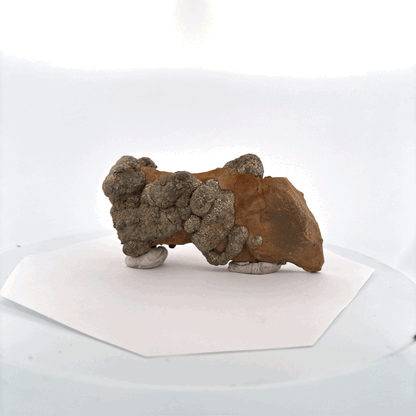 Pyrite on Limonite Clay, 372gr, 12x6x4cm, Supat Mine, Mansehra, Pakistan